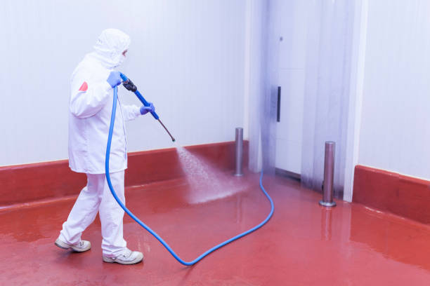 Boat and Dock Cleaning in Wolcott, IN
