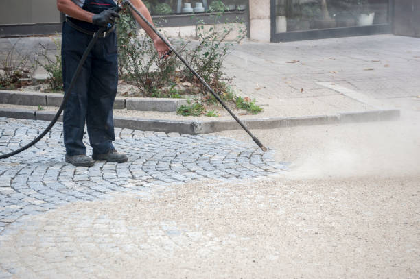 Best House Exterior Washing  in Wolcott, IN